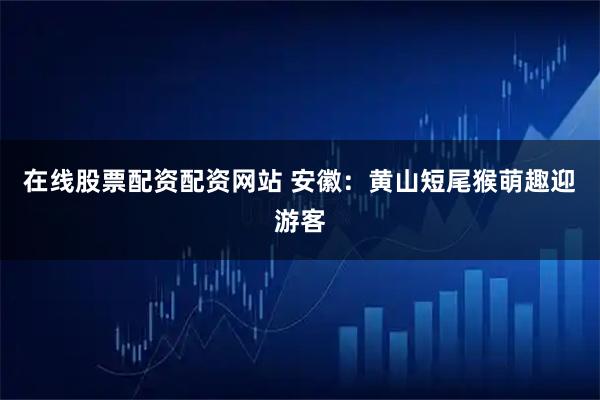 在线股票配资配资网站 安徽：黄山短尾猴萌趣迎游客