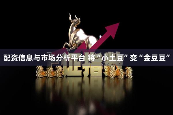 配资信息与市场分析平台 将“小土豆”变“金豆豆”